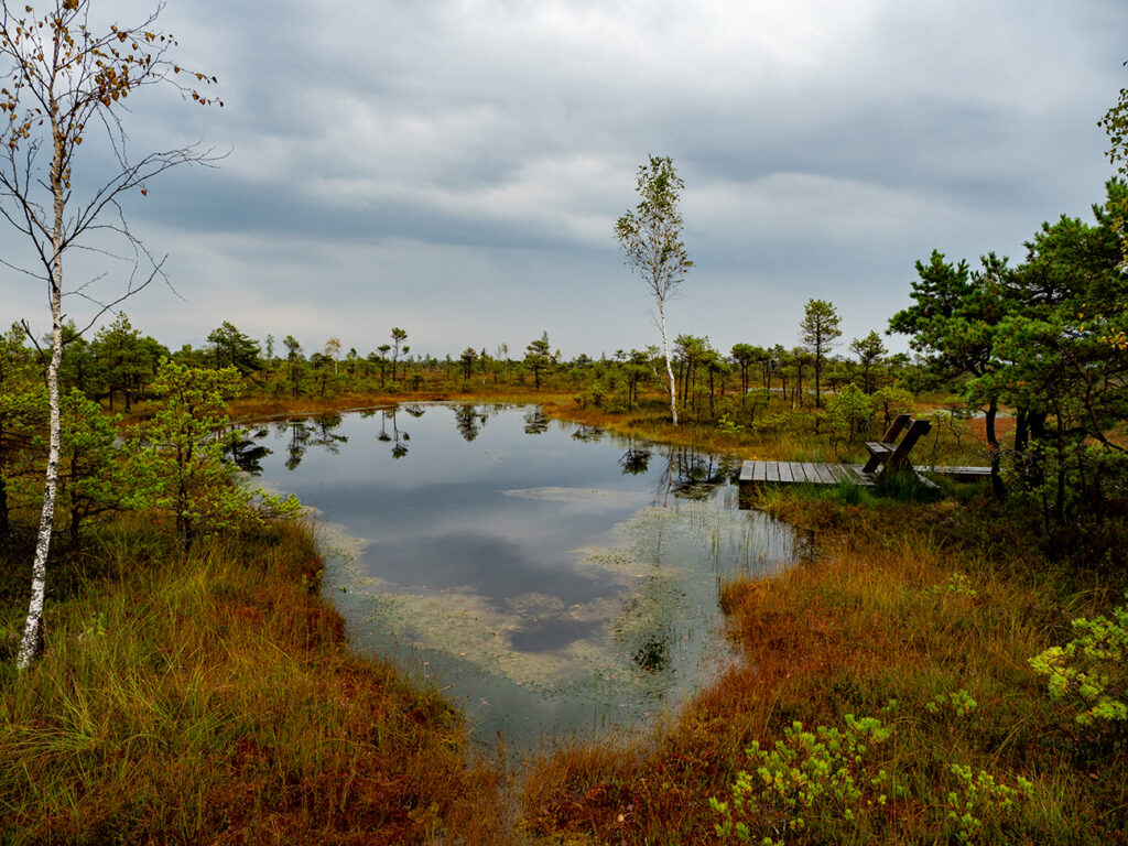 Kemeri NP